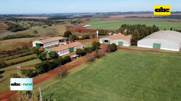 Video: Venta de semillas sin certificación, flagelo para empresas semilleras - ABC Rural - ABC Color