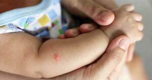 Chikungunya: instan a proteger a los bebés con repelentes desde los dos meses - trece