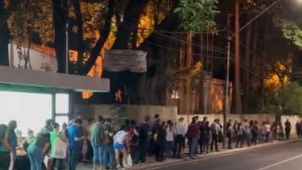 Anunciaron que sacarán a las calles 60 colectivos con pasaje gratuito