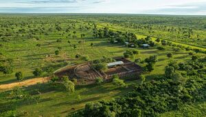 El campo a la pantalla: Subastarán por primera vez establecimiento ganadero de 24.000 ha (modalidad viene para quedarse)