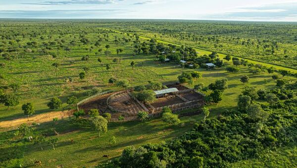 El campo a la pantalla: Subastarán por primera vez establecimiento ganadero de 24.000 ha (modalidad viene para quedarse)