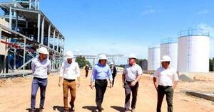 La Nación / Rediex resalta divisas por biocombustibles