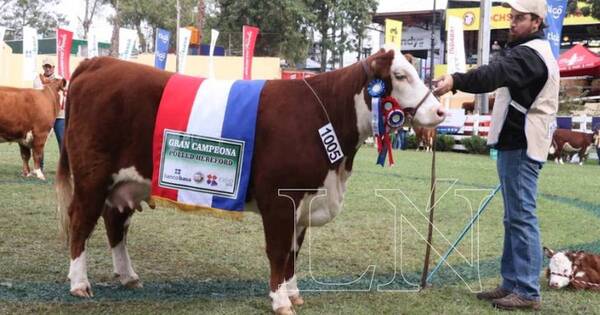 La Nación / Lanzarán este año su carne certificada