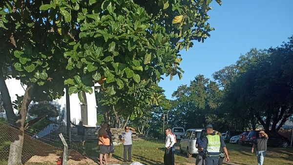 Conductora de transporte escolar atropelló y mató a profe