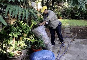 Dengue se “reaviva” y chikunguña suma infectados: urgen eliminar criaderos para evitar otra epidemia - Nacionales - ABC Color