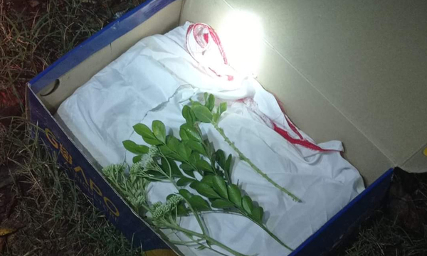 Encuentran feto en la fracción las Cabañas de Coronel Oviedo - OviedoPress