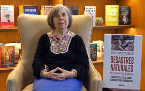 June Erlick: América Latina ha aprendido muy poco de sus desastres naturales - MarketData