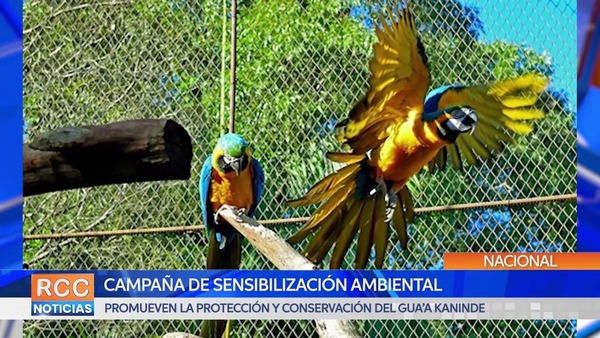 Prosigue campaña de sensibilización ambiental sobre la conservación del gua’a kaninde
