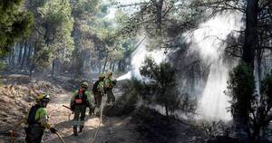 La Nación / Incendios forestales provocados devastan el norte de España