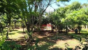 Maniataron y asfixiaron a una mujer de 82 años en su casa