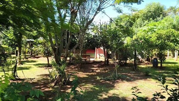Maniataron y asfixiaron a una mujer de 82 años en su casa