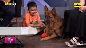 Video: Socialización canina con los niños - Ensiestados - ABC Color