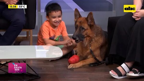 Video: Socialización canina con los niños - Ensiestados - ABC Color