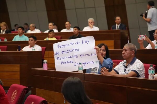 Piden ley de escaños reservados en el Congreso para pueblos indígenas - Política - ABC Color
