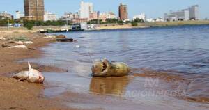 La Nación / Muerte de peces, por poco oxígeno