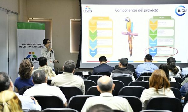 Conforman grupo de apoyo al Proyecto Canindeyú, de preservación del gua’a kaninde, que impulsa ITAIPU – Diario TNPRESS