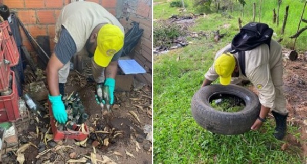 Senepa planifica estrategias contra el arbovirosis en Semana Santa - ADN Digital