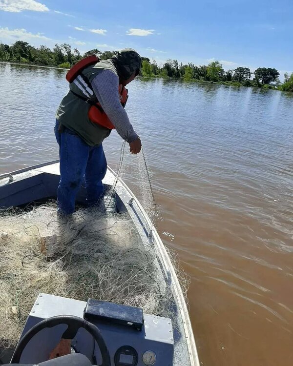 Diario HOY | Mortandad de peces: estrictos controles en aguas de los ríos Paraguay y Paraná