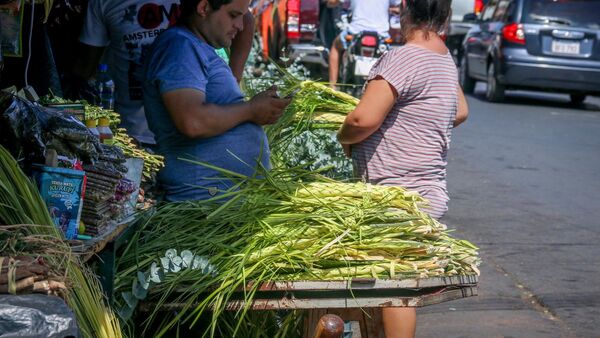 La venta de hojas de "pindó" marca el inicio de la Semana Santa