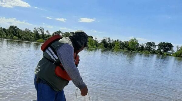 Mortandad de peces: estrictos controles en aguas de los ríos Paraguay y Paraná - Oasis FM 94.3