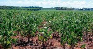 La Nación / Modelo de crecimiento debe ser sostenible y resiliente a los cambios climáticos, afirman