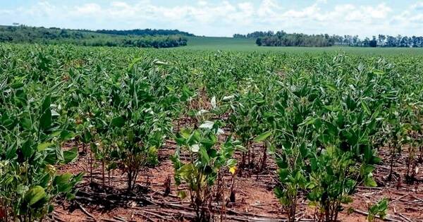 La Nación / Modelo de crecimiento debe ser sostenible y resiliente a los cambios climáticos, afirman