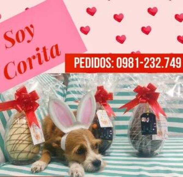 Venden huevos de Pascuas para dar de comer a los peluditos de la calle