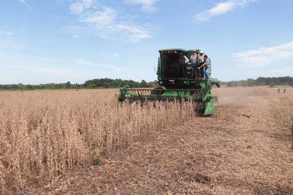 Diario HOY | Sequía en Argentina afecta a industria aceitera paraguaya