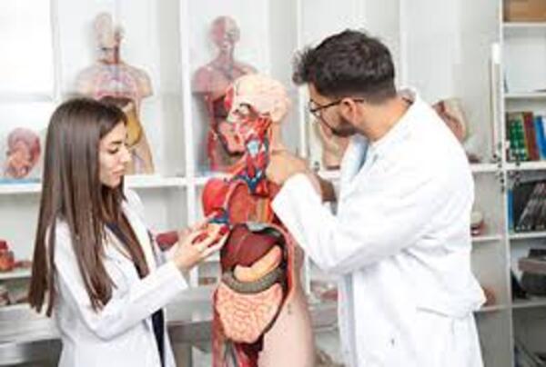Examen Revalida: Masivo aplazo en Brasil de médicos recibidos en Paraguay