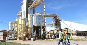 La Nación / Contexto regional genera presiones y oportunidades para la industria aceitera nacional, señalan
