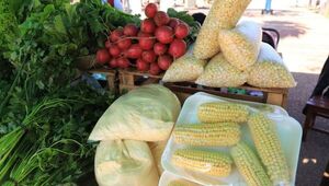 Producción agrícola anima la despensa en los días santos (alta demanda de harina de maíz, almidón, choclo y verduras)