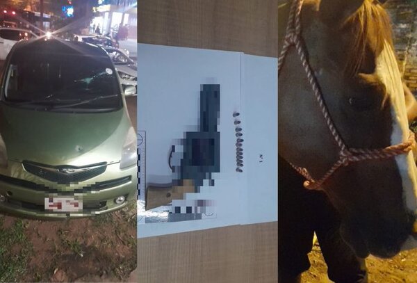 Incidentes en alrededores de la cancha de Libertad dejan cinco detenidos y un caballo de la montada herido
