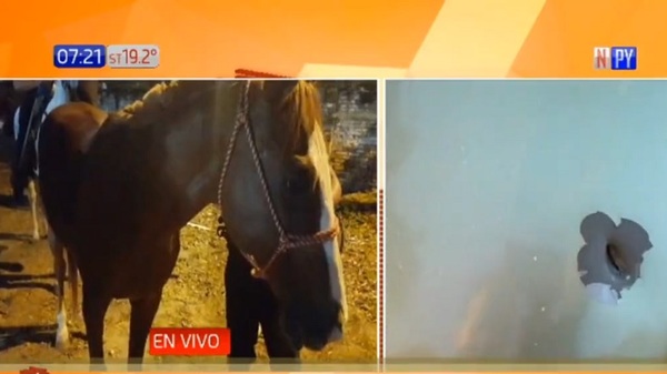 Barrabravas dispararon contra agentes de la Montada - Noticias Paraguay
