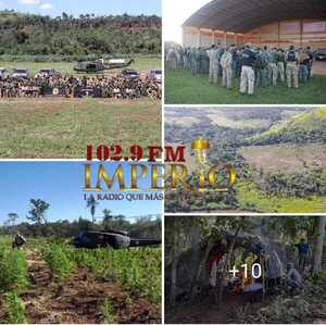 Operativo Nueva Alianza XXXVI finalizó con más de mil toneladas de marihuana sacadas de circulación - Radio Imperio