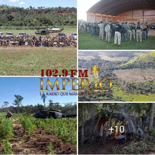 Operativo Nueva Alianza XXXVI finalizó con más de mil toneladas de marihuana sacadas de circulación - Radio Imperio
