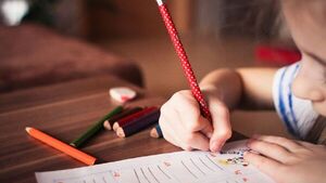 Organización propone ajustes al Plan de Transformación Educativa