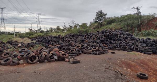 La Nación / Hernandarias: investigan delito ambiental en cementerio de cubiertas y criadero de mosquitos