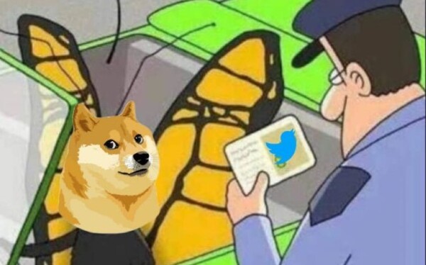 ¿Qué significa el perrito meme que aparece en Twitter? - Megacadena — Últimas Noticias de Paraguay