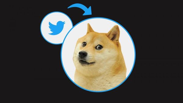 Twitter cambia logo por un perro y provoca alza de criptomoneda