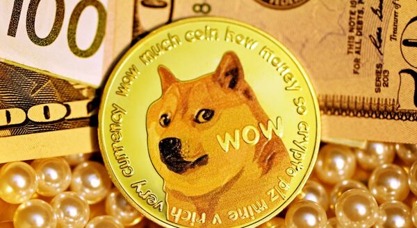 Diario HOY | Twitter cambia logo por un perro y provoca alza de criptomoneda