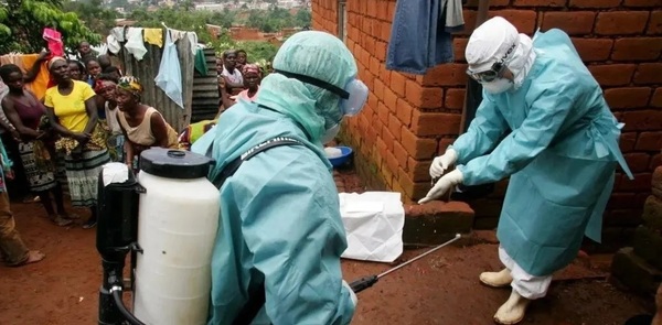 África: Alarma por los nuevos brotes de Marburgo, un primo mortal del ébola - ADN Digital