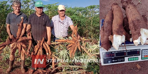 FORTALECIMIENTO DE PRODUCCIÓN Y COMERCIALIZACIÓN DE MANDIOCA EN CORONEL BOGADO - Itapúa Noticias
