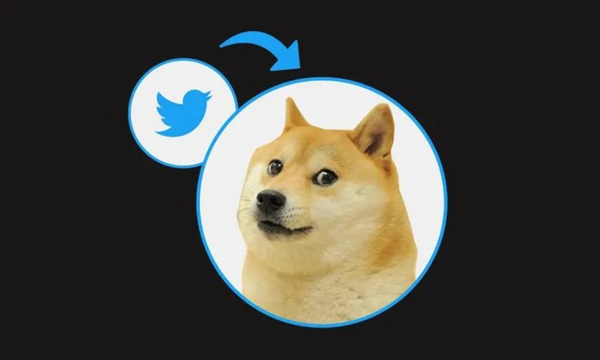 Twitter cambia logo por un perro y provoca alza de criptomoneda - OviedoPress