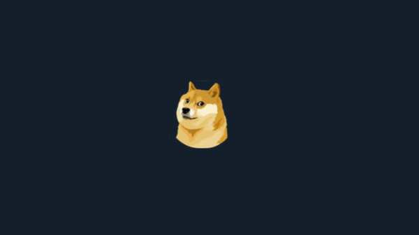 El perro que sale en Twitter » San Lorenzo PY