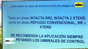 Video: Presentaron nueva Soja Potent I2X de BASF - ABC Rural - ABC Color