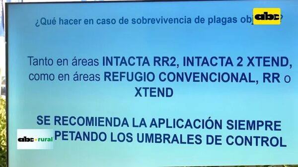Video: Presentaron nueva Soja Potent I2X de BASF - ABC Rural - ABC Color