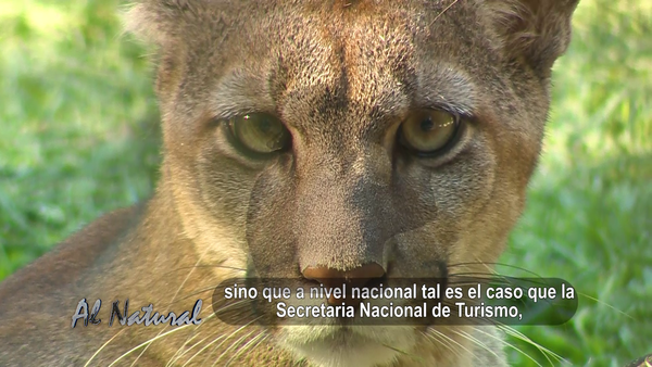SNT Al Natural: Refugio Atinguy, Santa María de Fe y Misiones - SNT