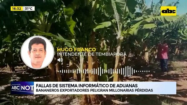 Video: Bananeros exportadores peligran millonarias pérdidas - ABC Noticias - ABC Color