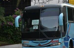 Pese a las reguladas, buses gratirola no operarán en Semana Santa