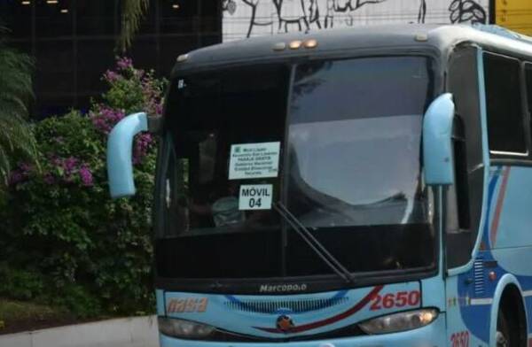Pese a las reguladas, buses gratirola no operarán en Semana Santa